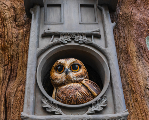 rbiong_owl.jpg