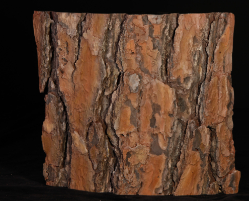 expertise_artificial-pine-bark.jpg